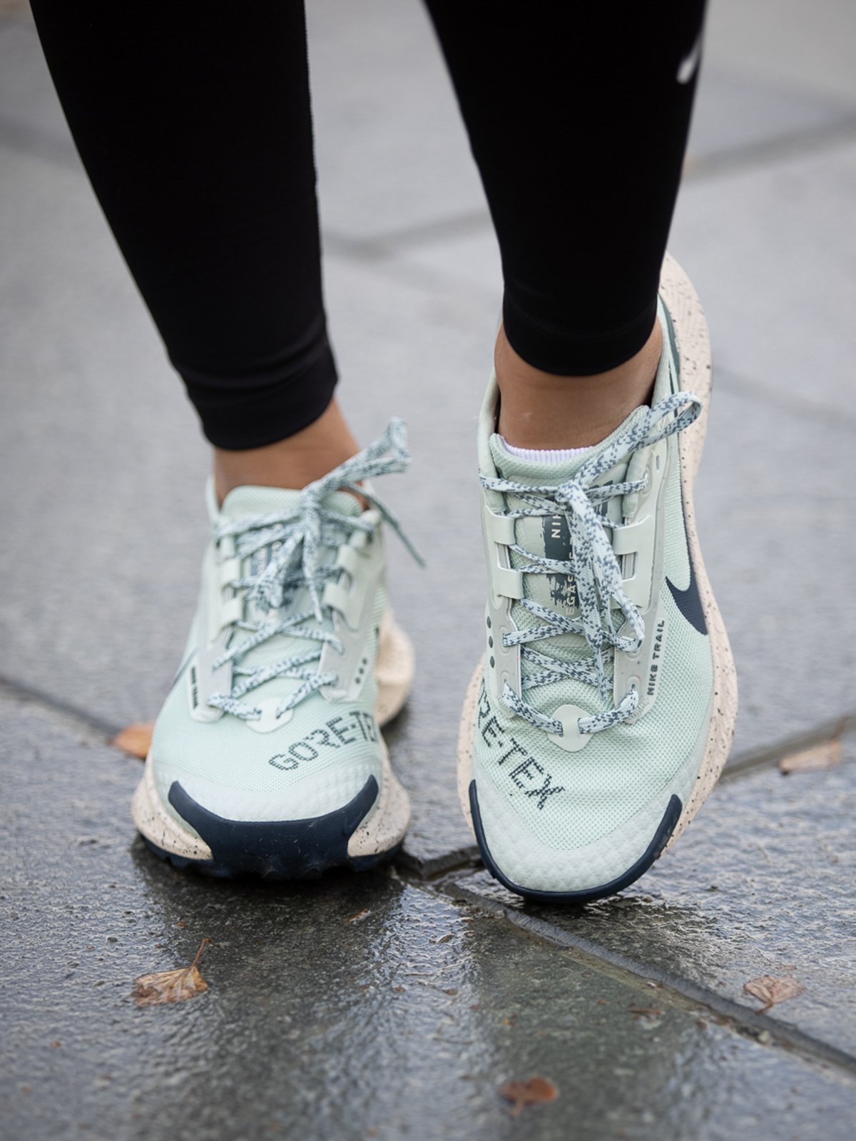 Nike Pegasus Trail 3 GTX Seafoam/Hasta/Pearl White/Armory Navy