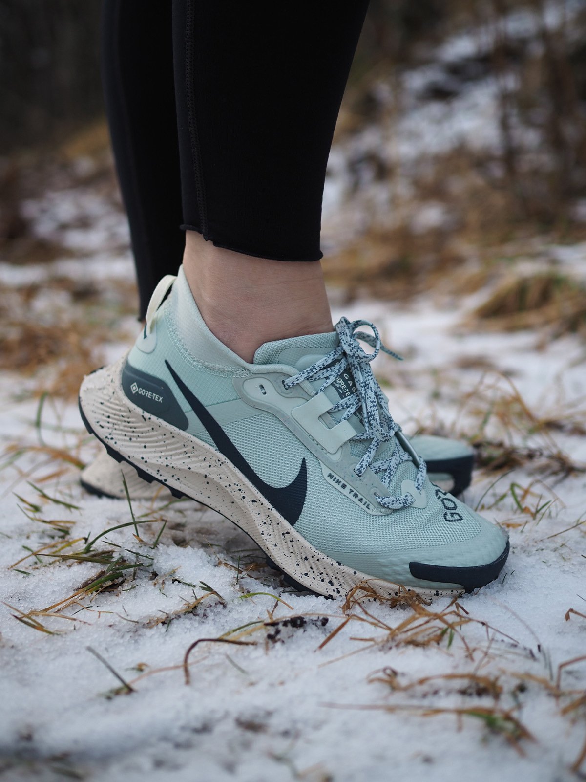 Nike Pegasus Trail 3 GTX Seafoam/Hasta/Pearl White/Armory Navy