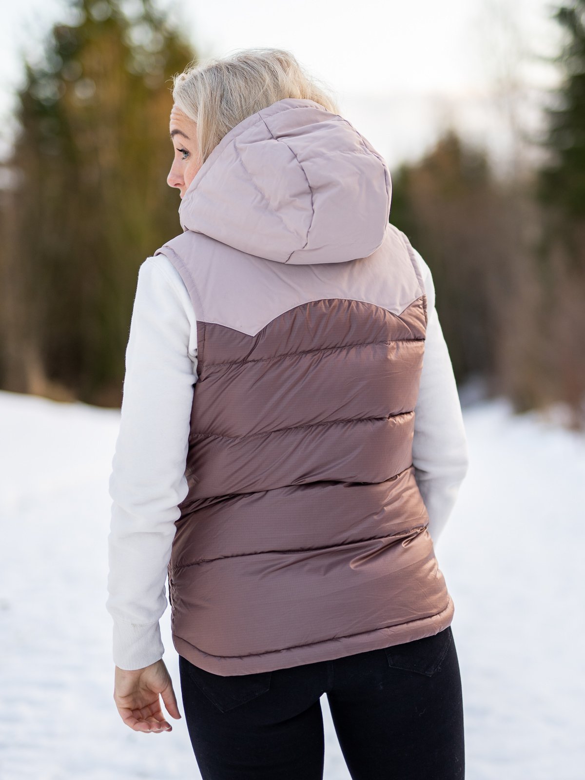 Patagonia Bivy Hooded Vest Dusky Brown