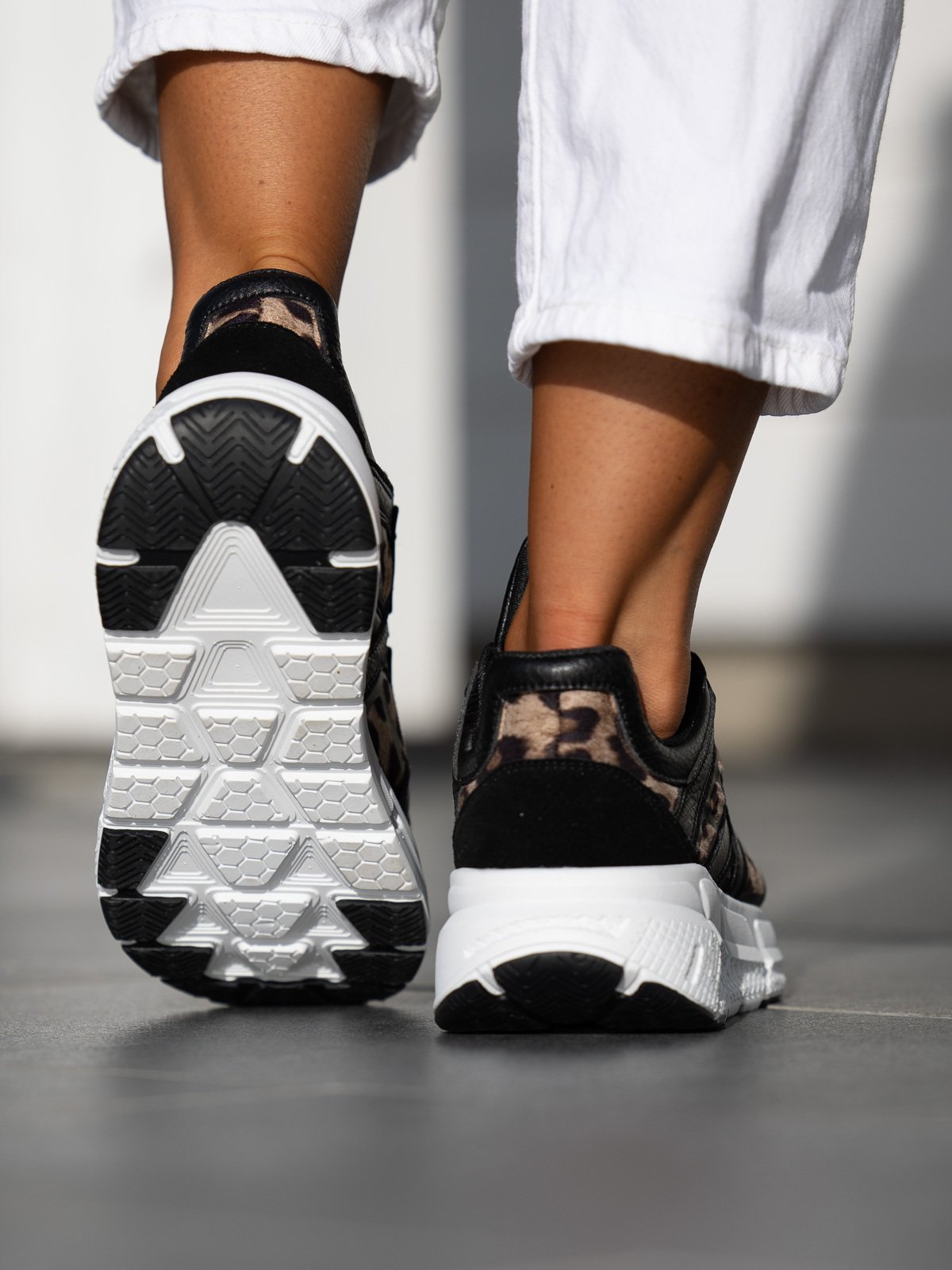 Roberto Rosso Cervo Leo