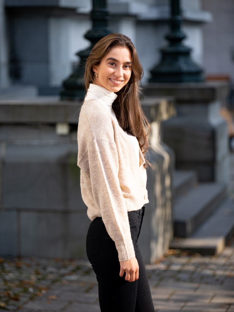 Ichi Amara Cardigan Feather Grey