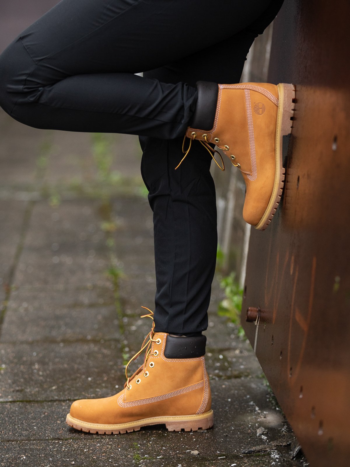 Timberland 6 inch Premium Boot Wheat Nubuck