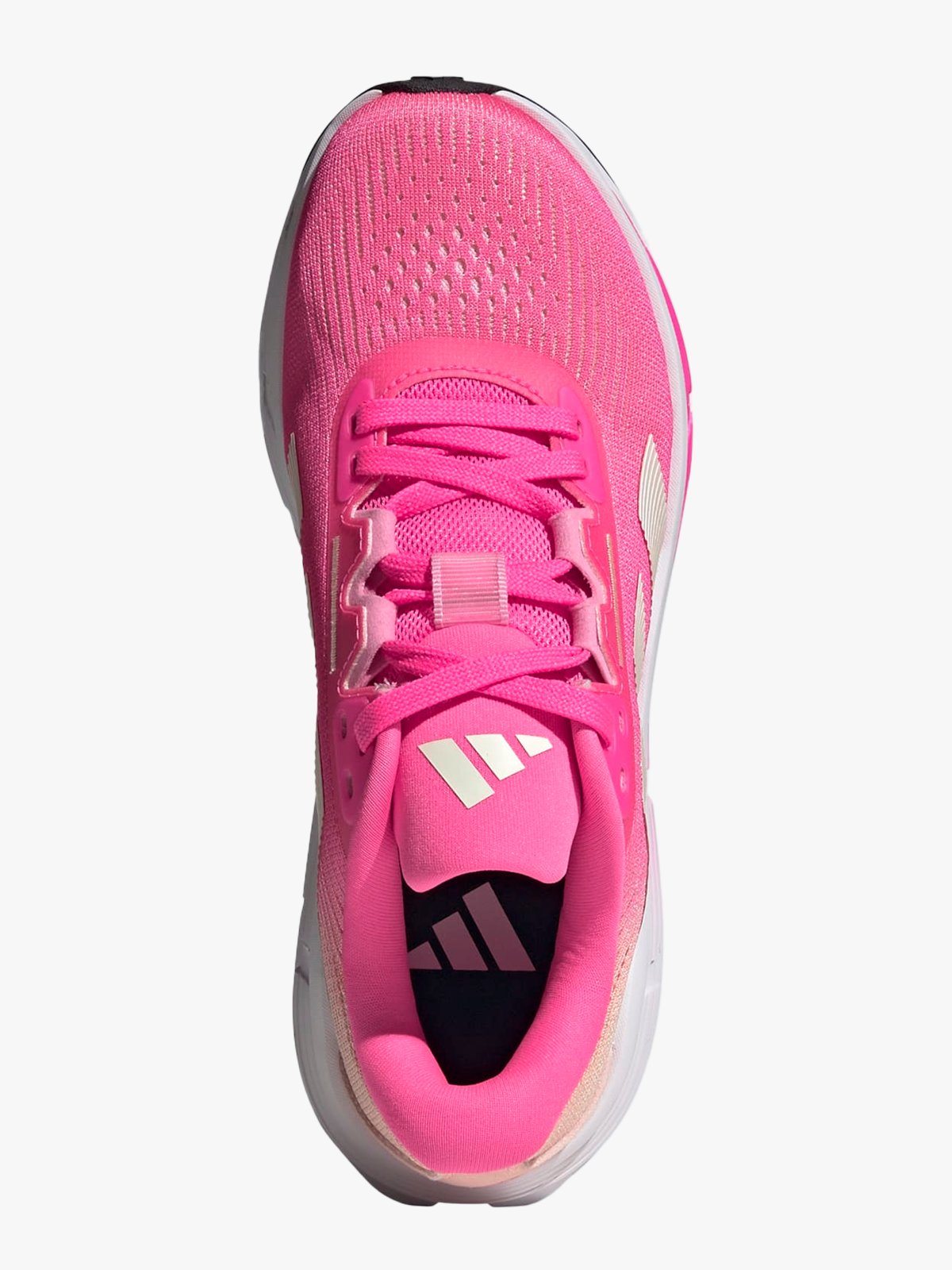 adidas Questar 3 Rosa