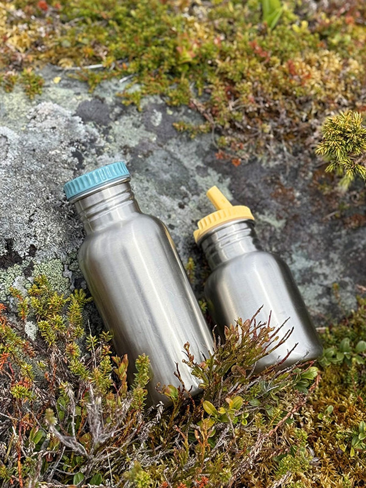 Blafre stålflaske 500 ml Blågrønn