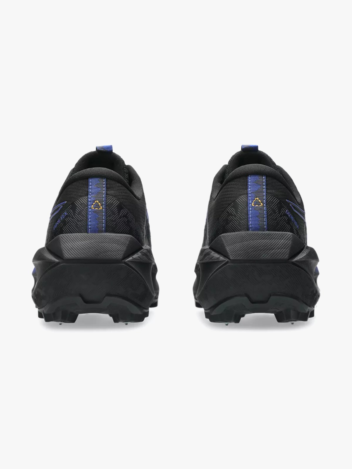 ASICS Fujisetsu Max GTX Black / Dark Cobalt