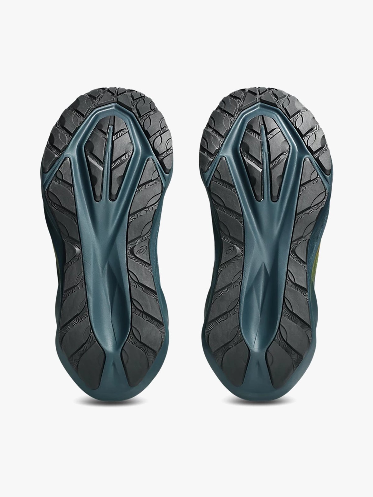 ASICS Novablast 5 TR Nature Bathing / Linchen Rock