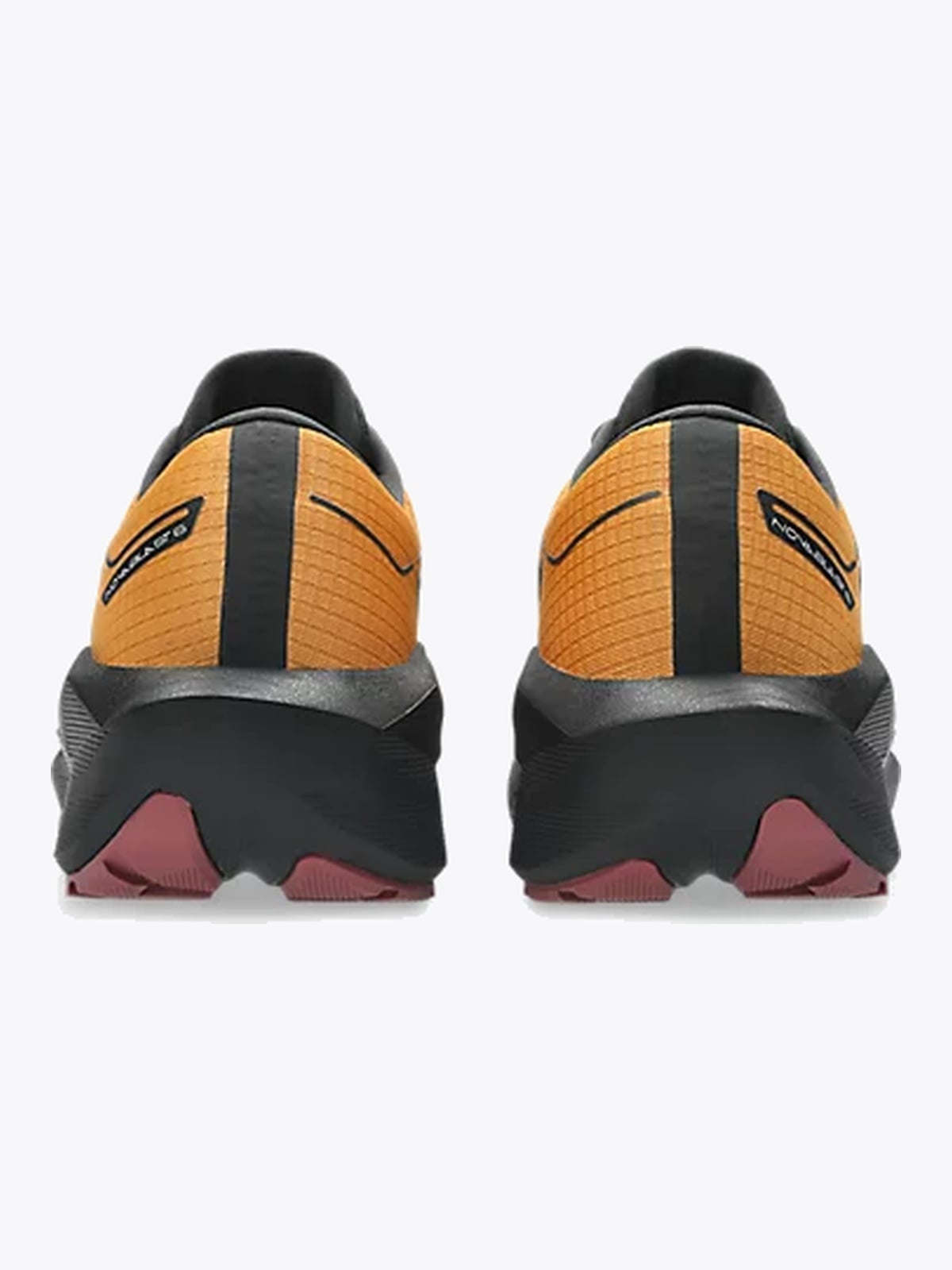 ASICS Novablast 6 Gtx Sandstorm/Black