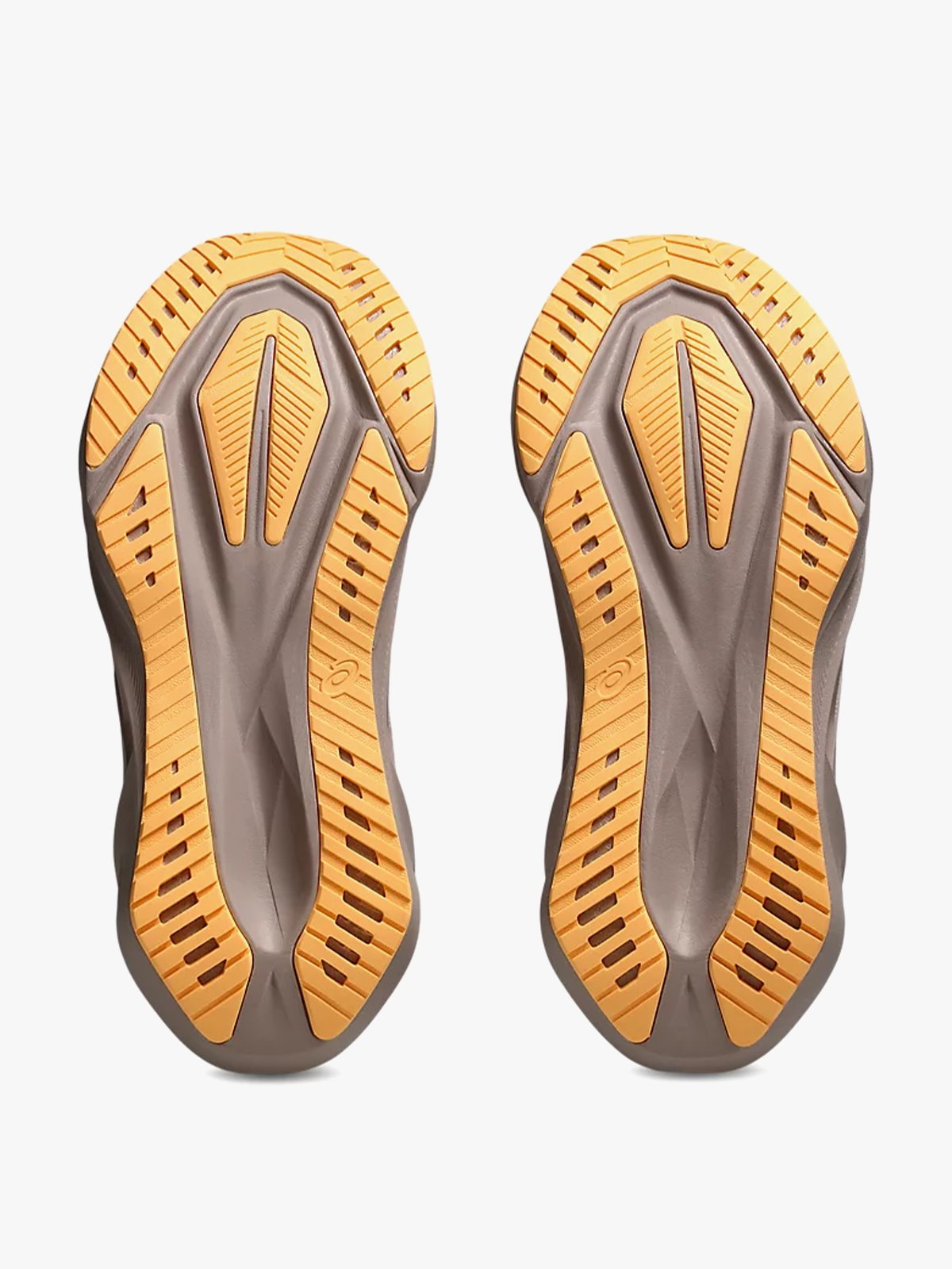 ASICS Novablast 5 White/Fawn