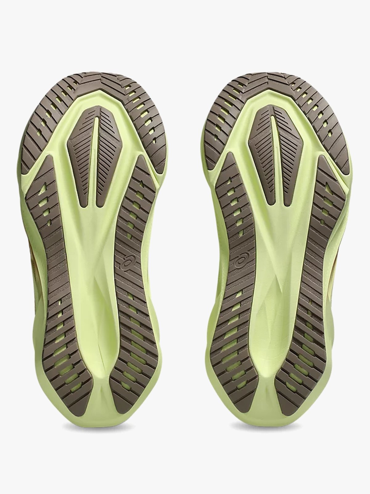 ASICS Novablast 5 Mineral Beige / Taupe Grey