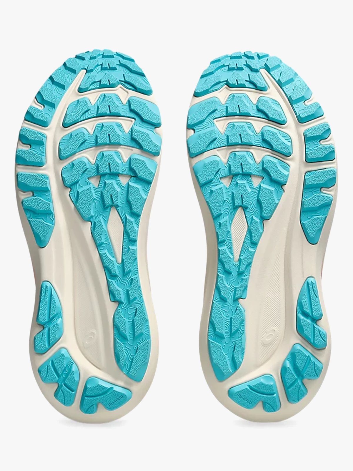 ASICS GT-2000 13 TR Nature Bathing / Guava