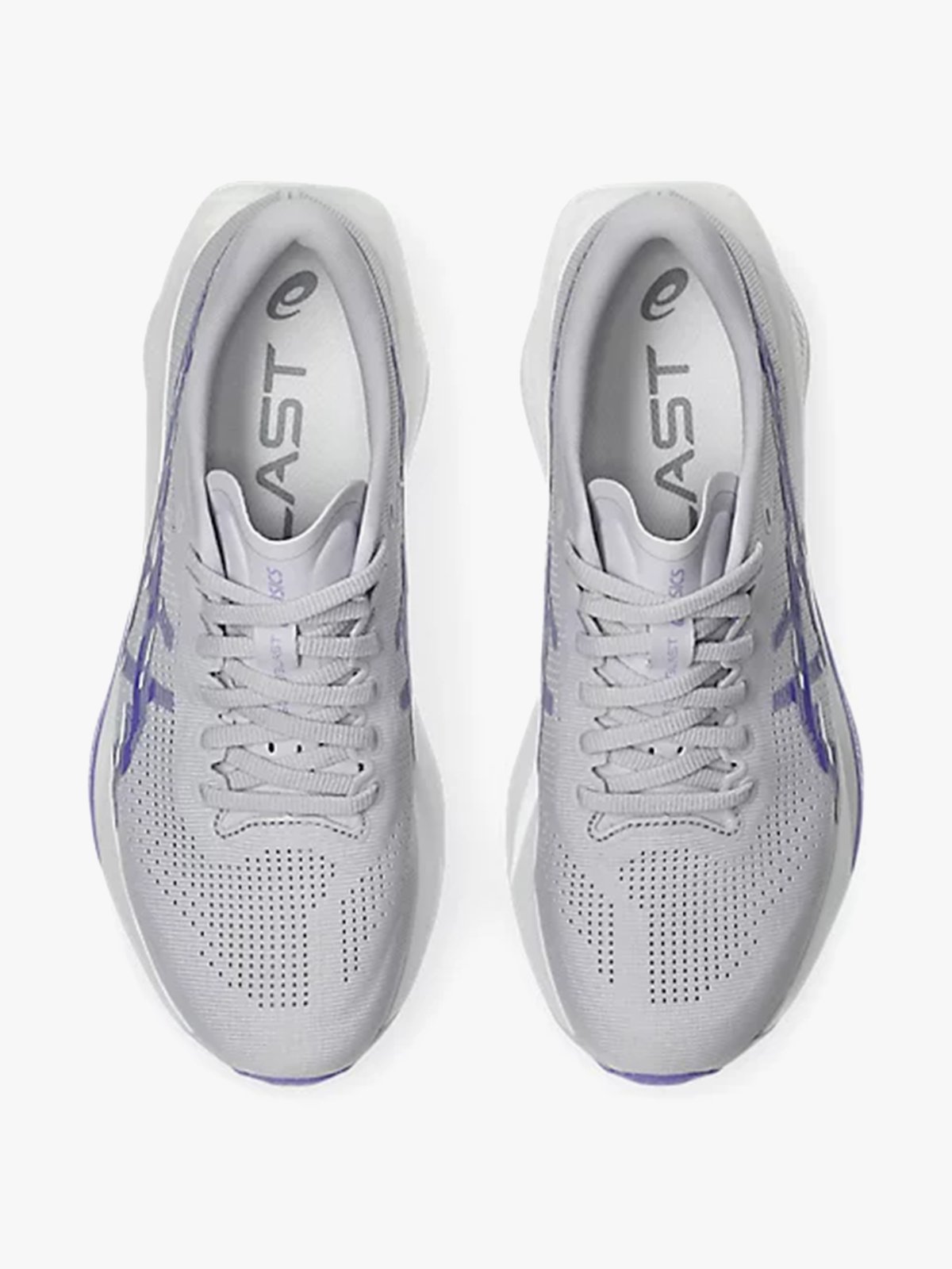 ASICS Sonicblast Lilac Hint / White