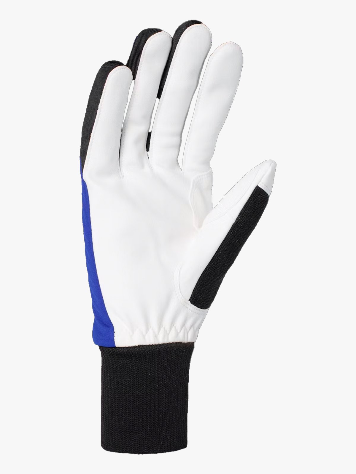 Dæhlie Glove Race Warm Surf the Web