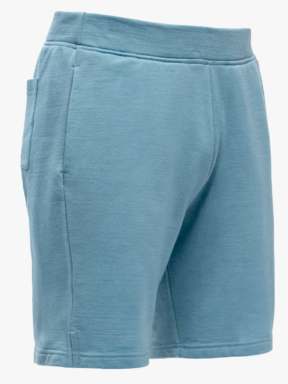 Devold Everyday Shorts Man Blå