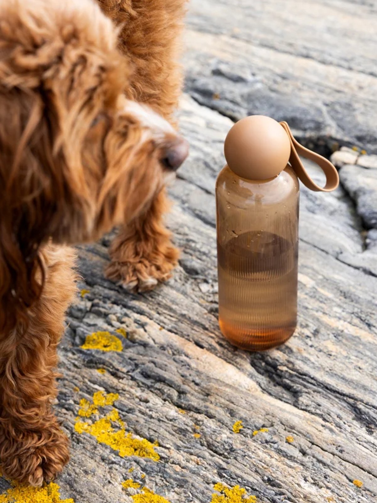 Sagaform Ture drikkeflaske Fudge Fudge Pantone 4261C