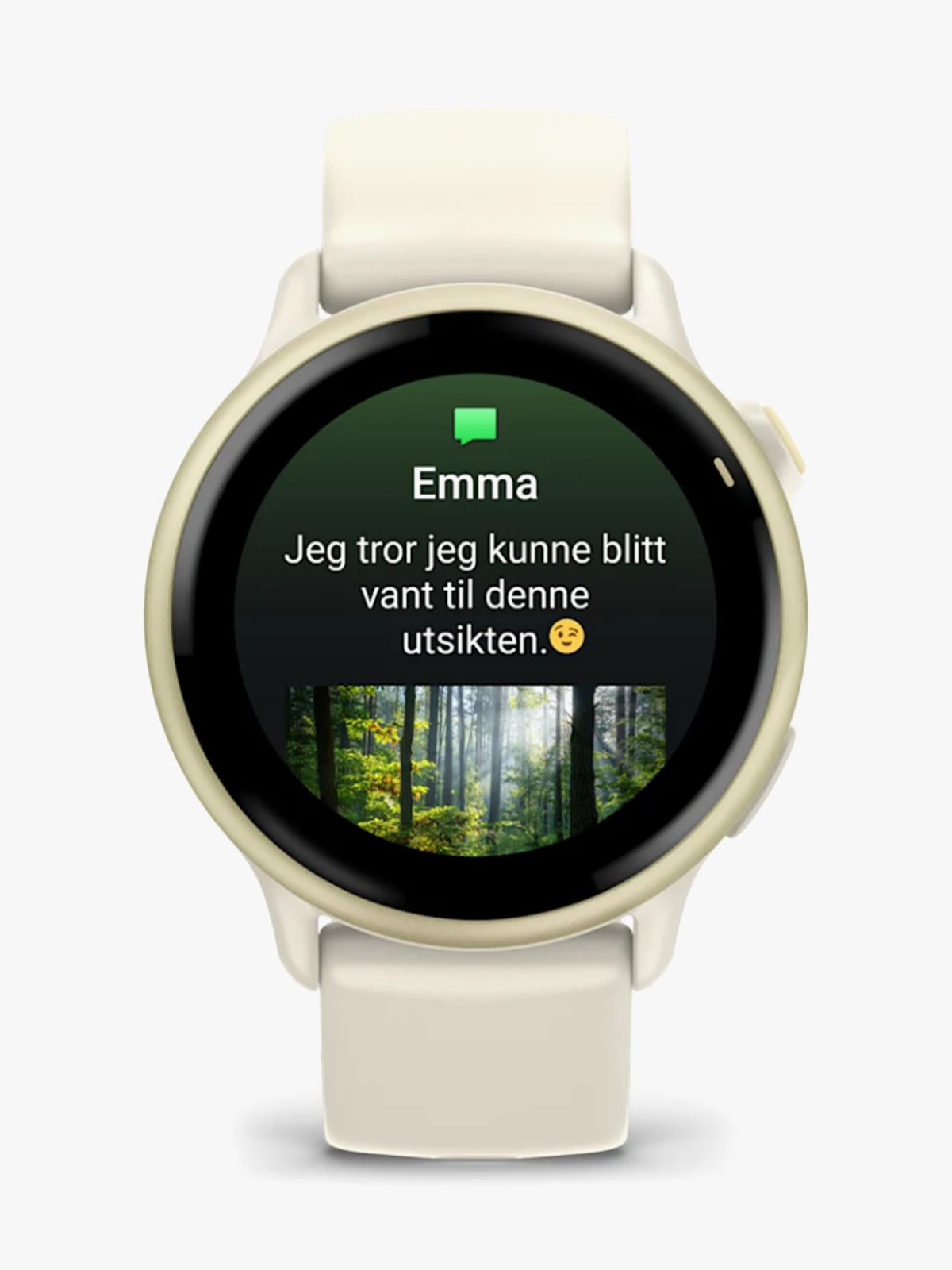 Garmin Vivoactive 6 Lunar Gold med Bone-rem