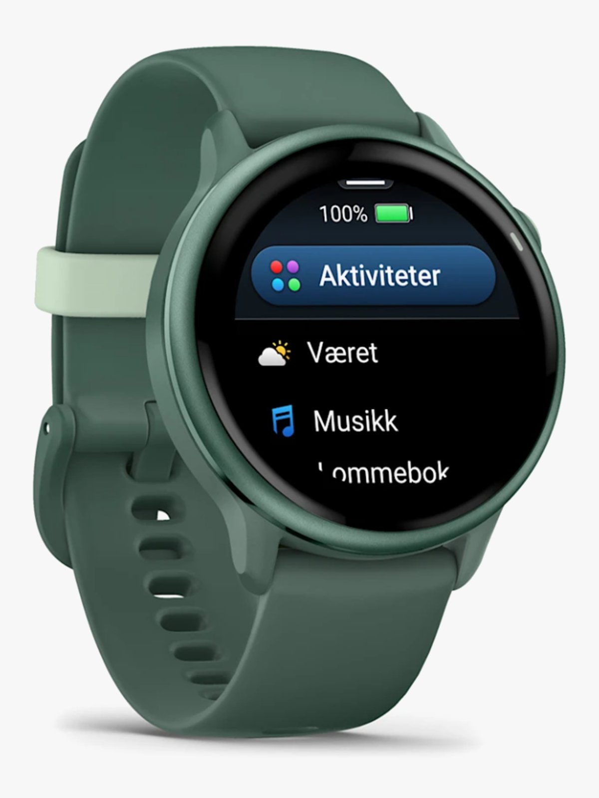 Garmin Vivoactive 6 Metallisk jasper-grønn med jasper-grønn rem