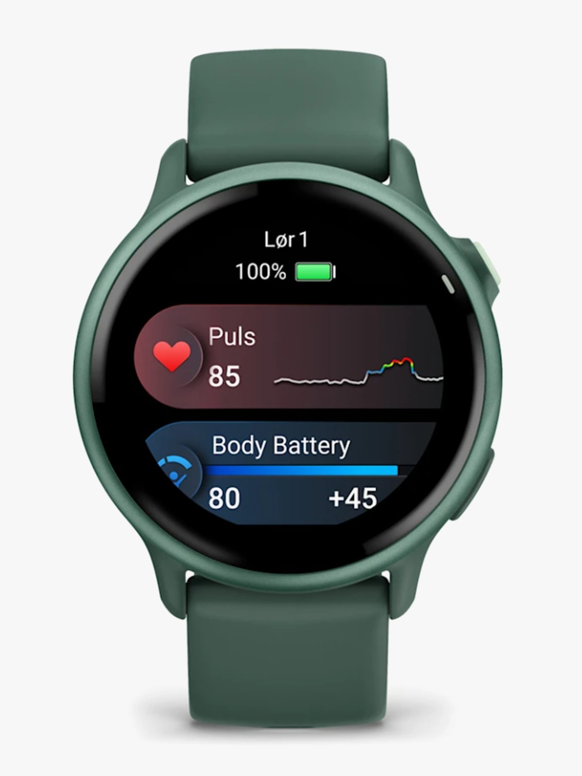 Garmin Vivoactive 6 Metallisk jasper-grønn med jasper-grønn rem