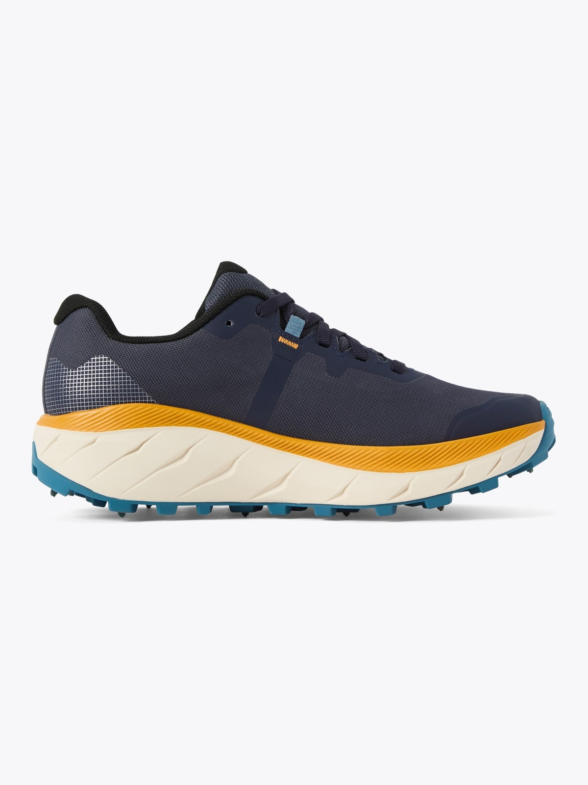 Icebug Arcus 2 BUGrip GTX Flerfarget