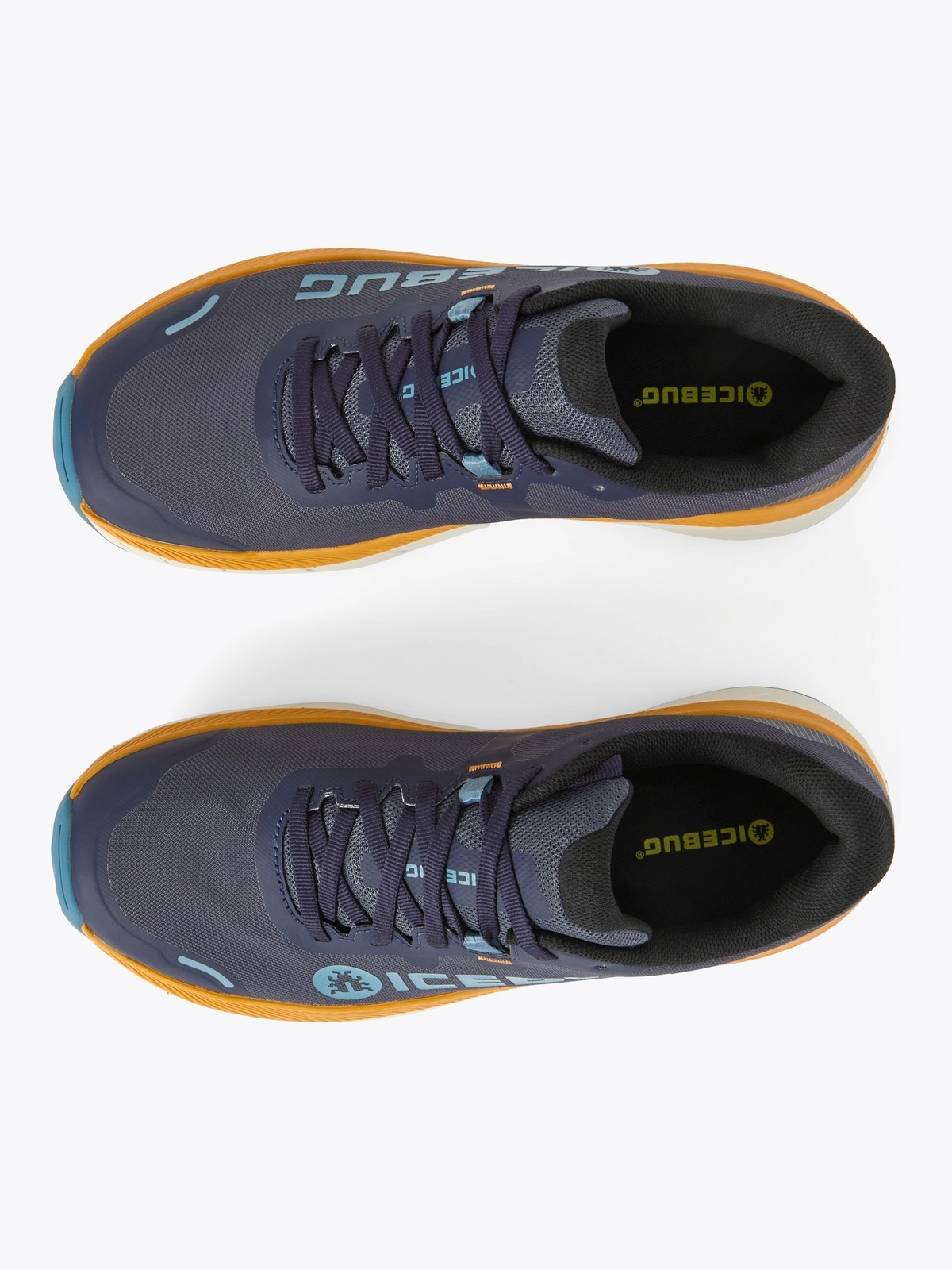 Icebug Arcus 2 BUGrip GTX Flerfarget