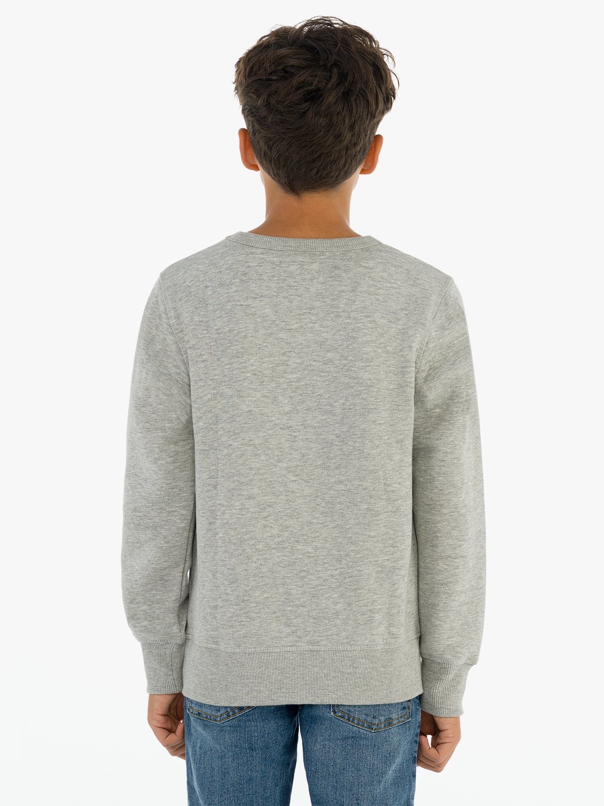Levi-s Kids Batwing Crewneck Sweatshirt Grey Heather