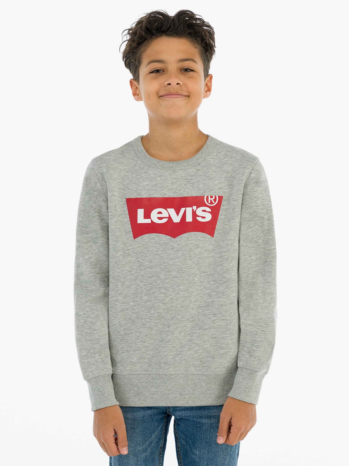 Levi-s Kids Batwing Crewneck Sweatshirt Grey Heather
