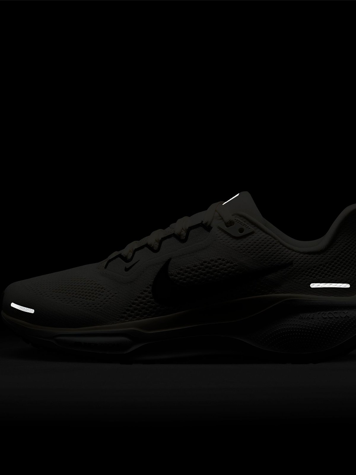 Nike Pegasus 41 Sail / Black / Phantom / White