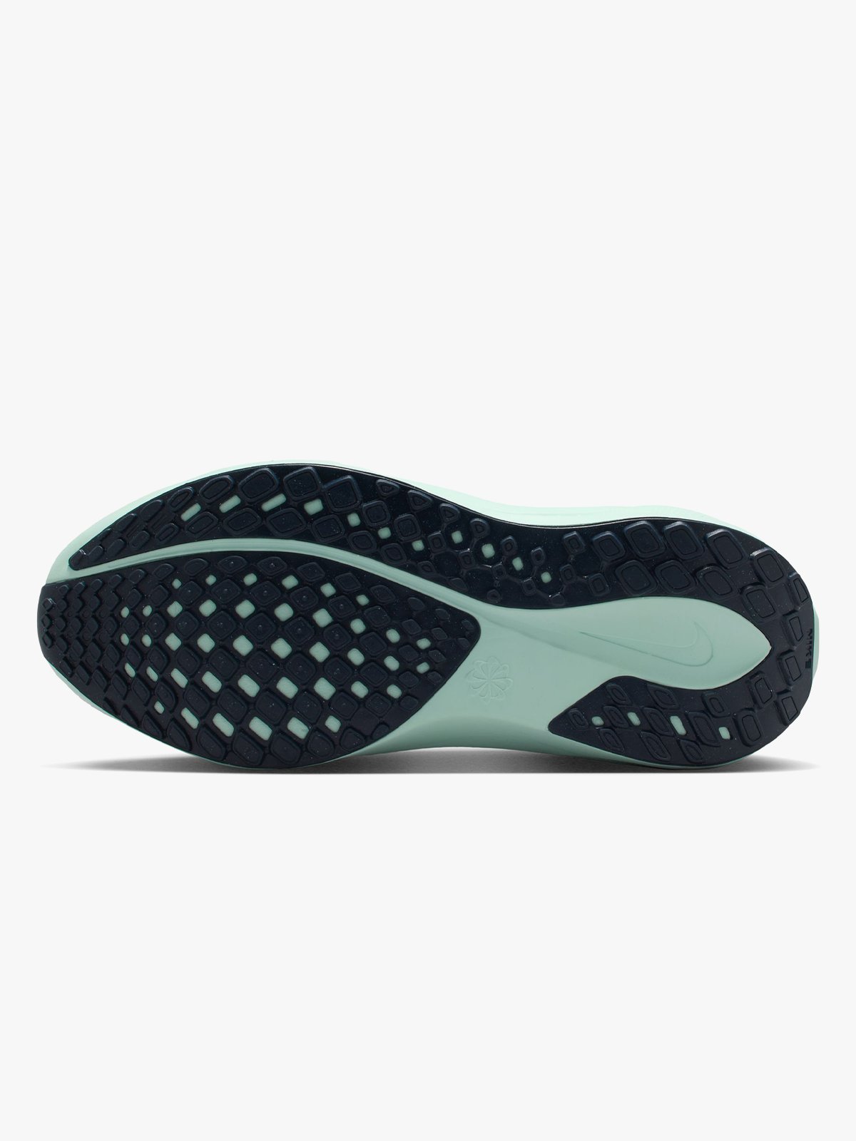 Nike Pegasus 41 GHOST AQUA/METALLIC SILVER-MINT