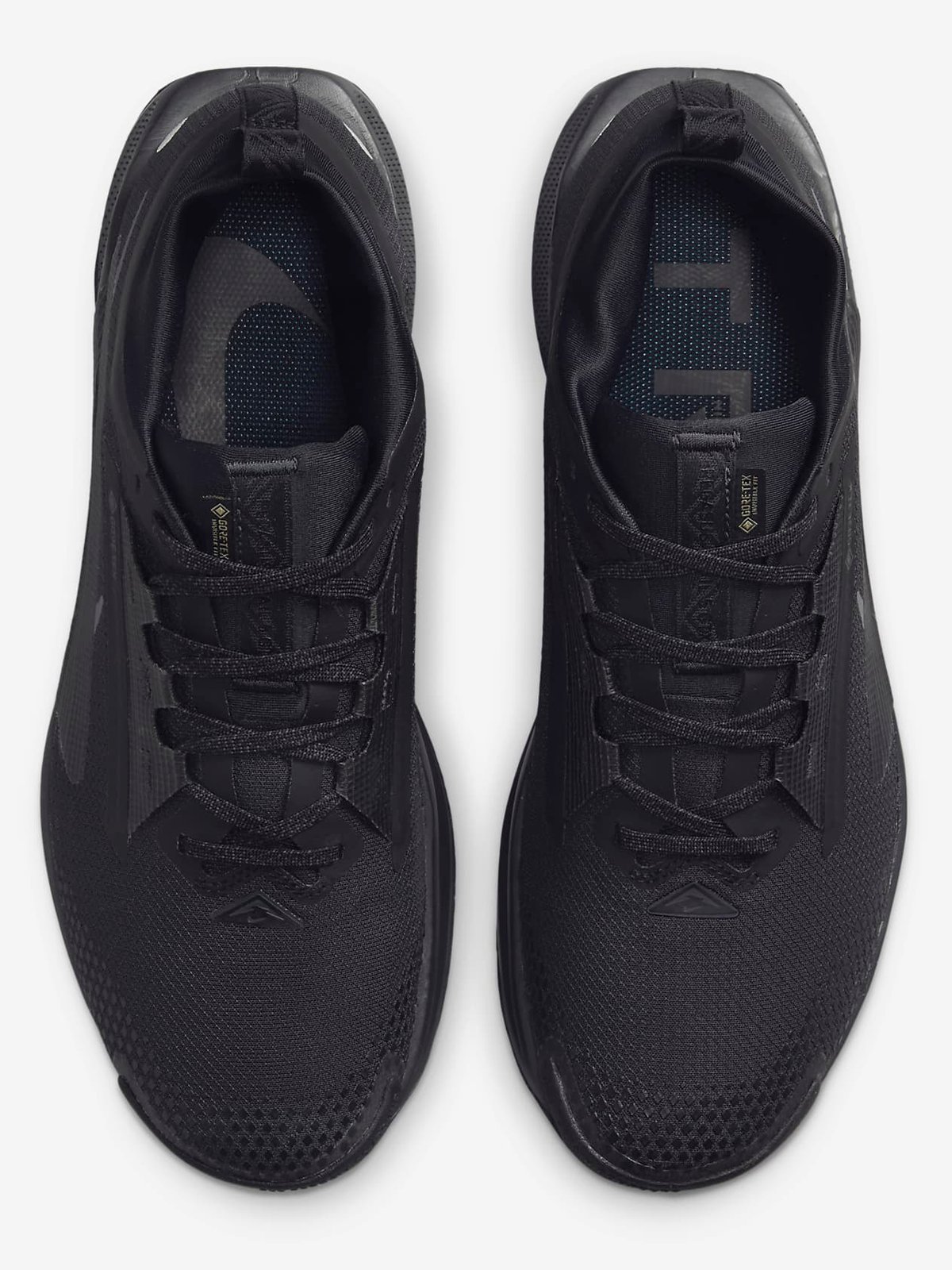 Nike Pegasus Trail 5 GTX Svart/Anthracite/Svart