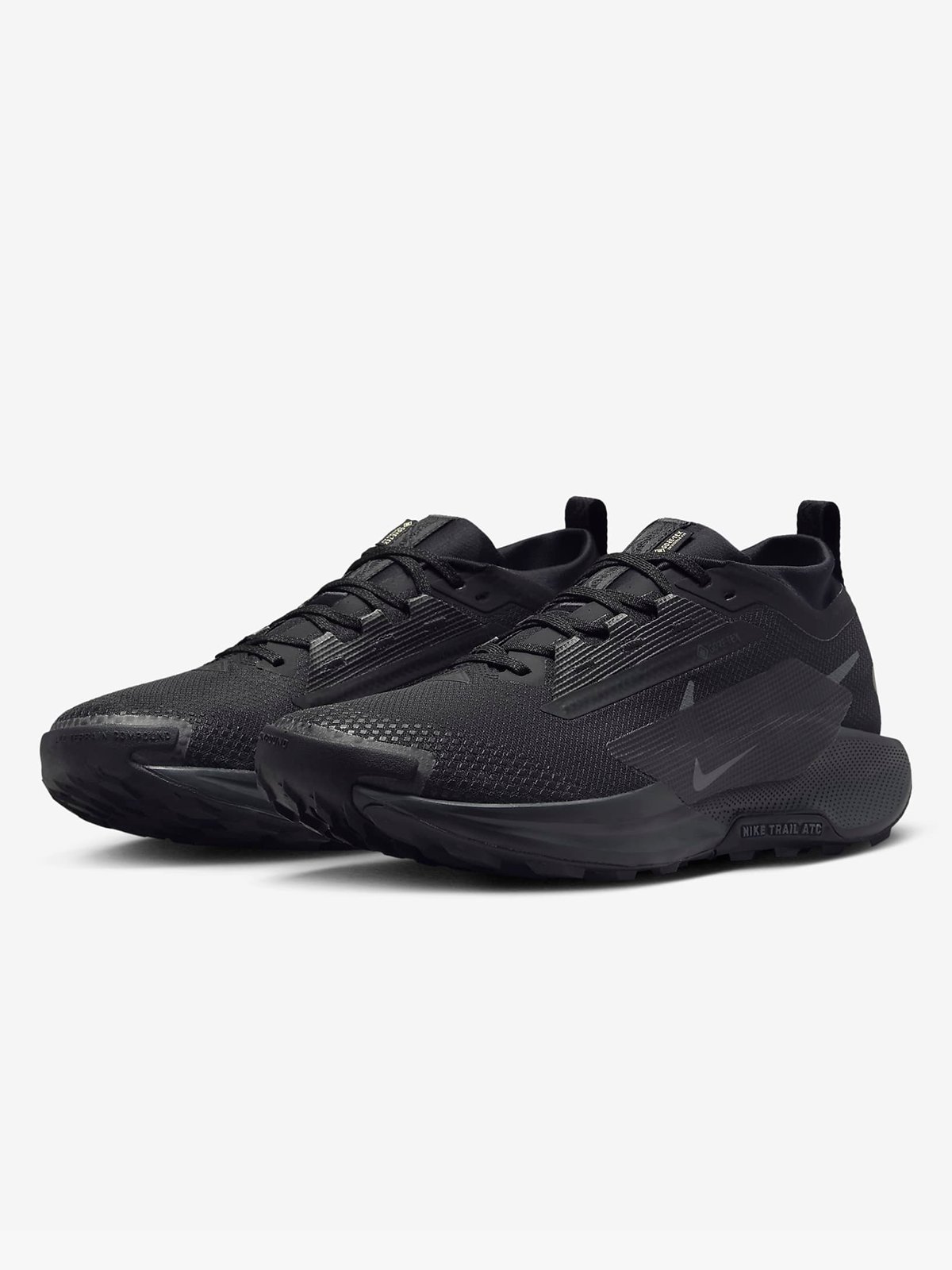 Nike Pegasus Trail 5 GTX Svart/Anthracite/Svart