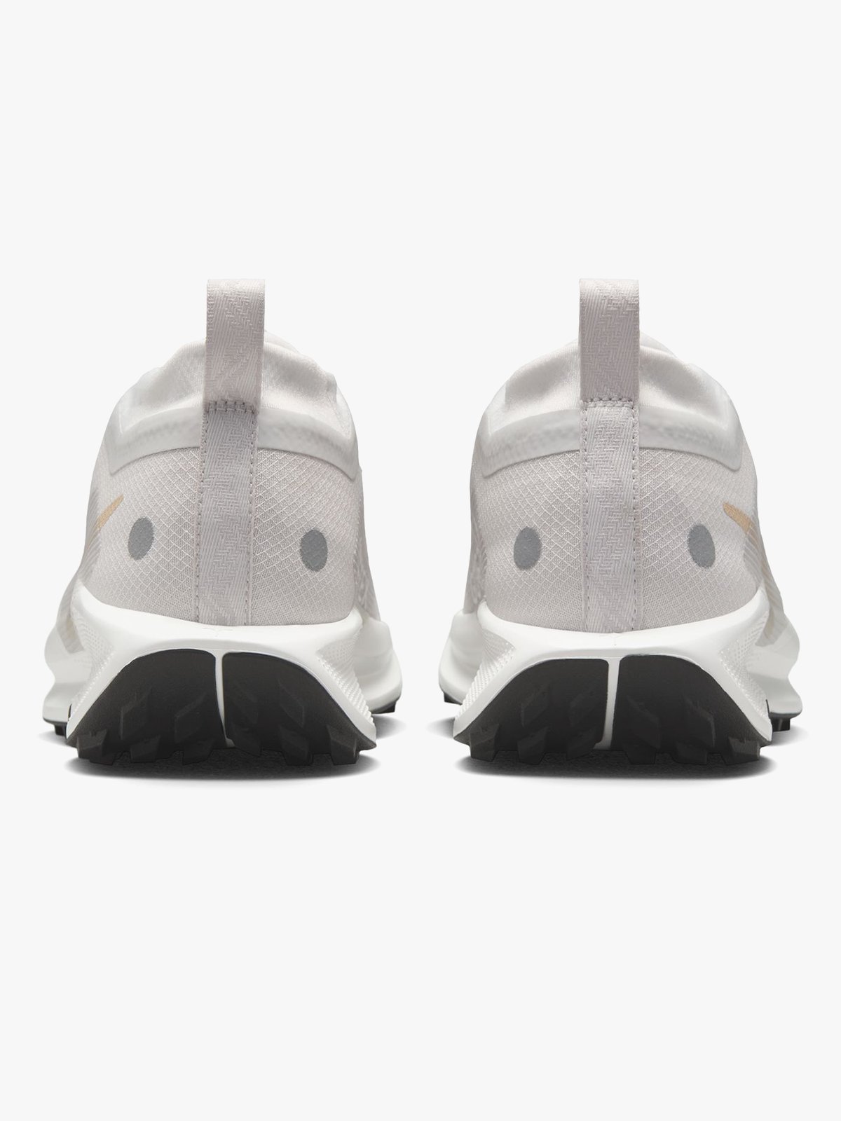 Nike Pegasus Trail 5 GTX Grå