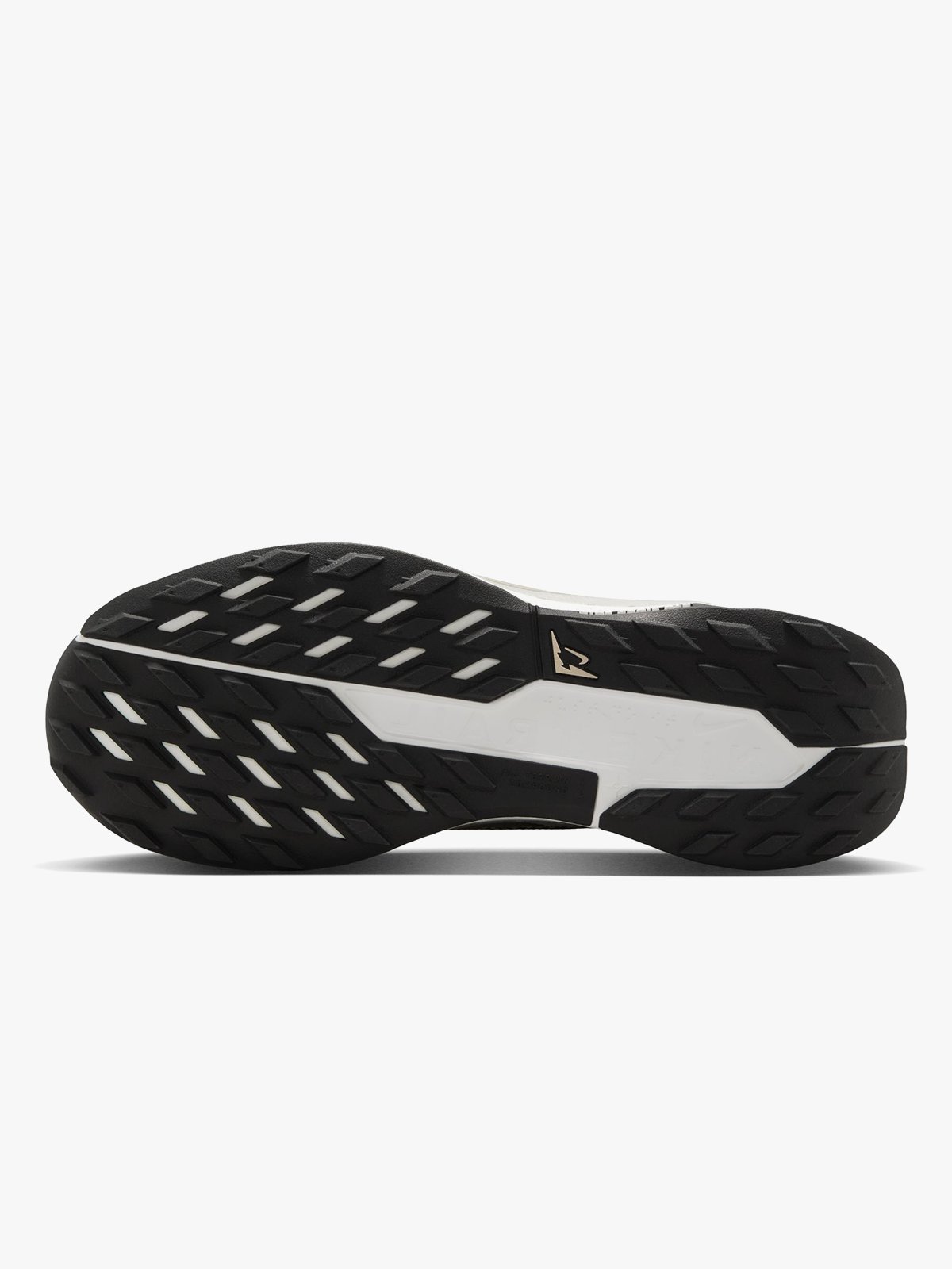 Nike Pegasus Trail 5 GTX Grå