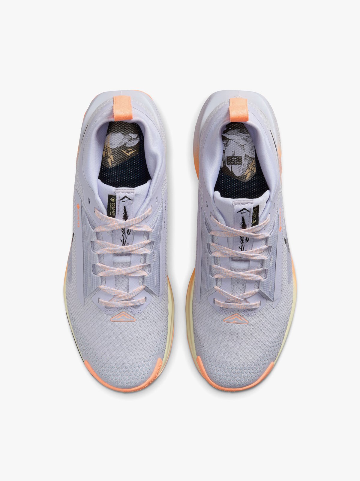 Nike Pegasus Trail 5 GTX Ghost / Black / Malt / Orange Pulse