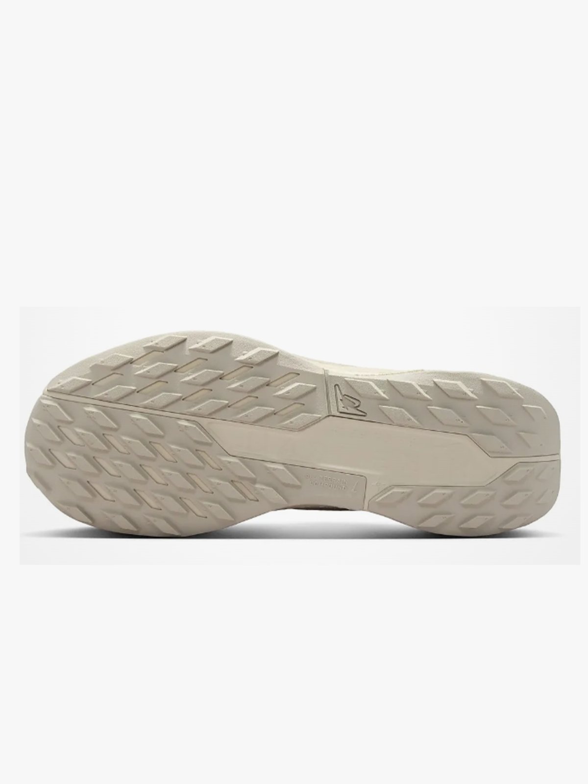 Nike Pegasus Trail 5 GTX Beige