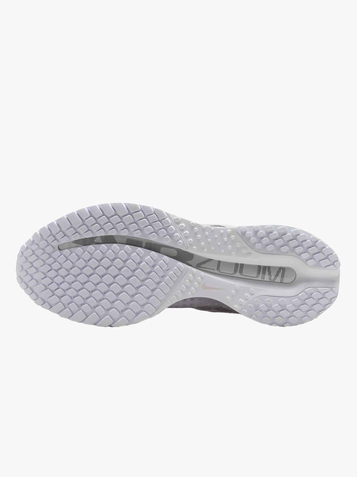 Nike Pegasus Premium White / Metallic Silver