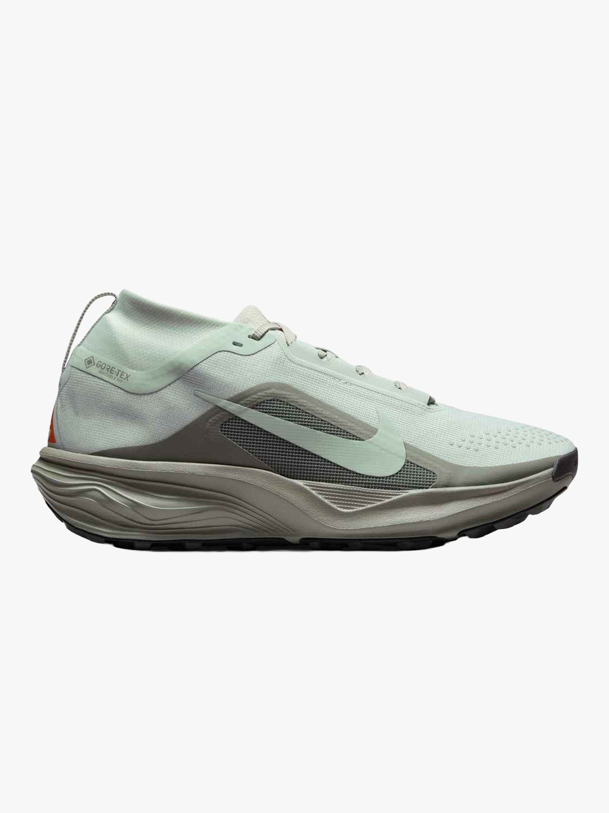 Nike Pegasus Trail GTX Grå