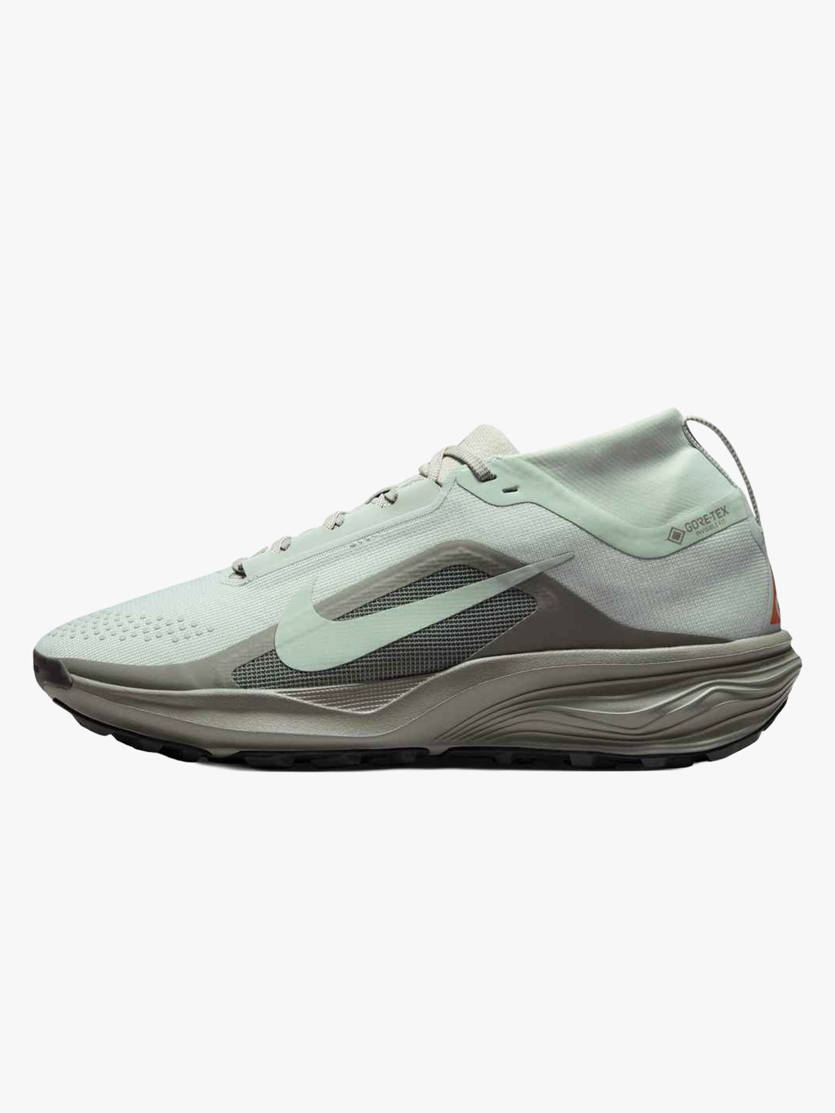 Nike Pegasus Trail GTX Grå