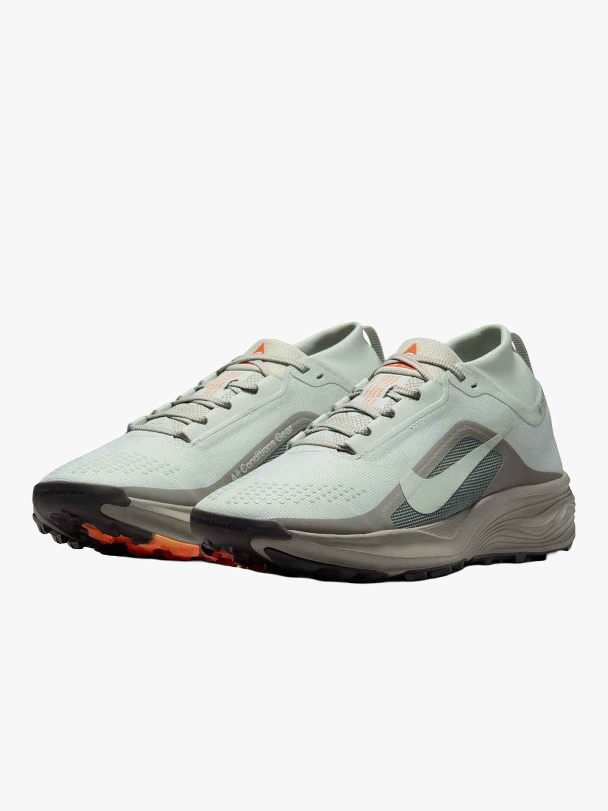 Nike Pegasus Trail GTX Grå