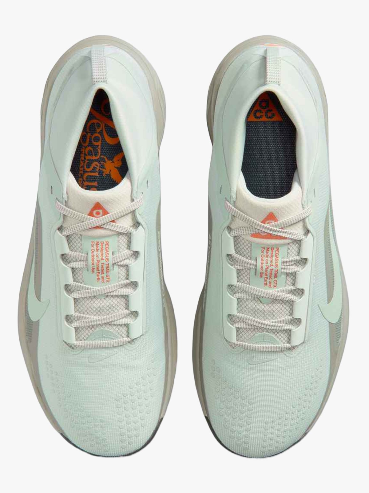 Nike Pegasus Trail GTX Grå