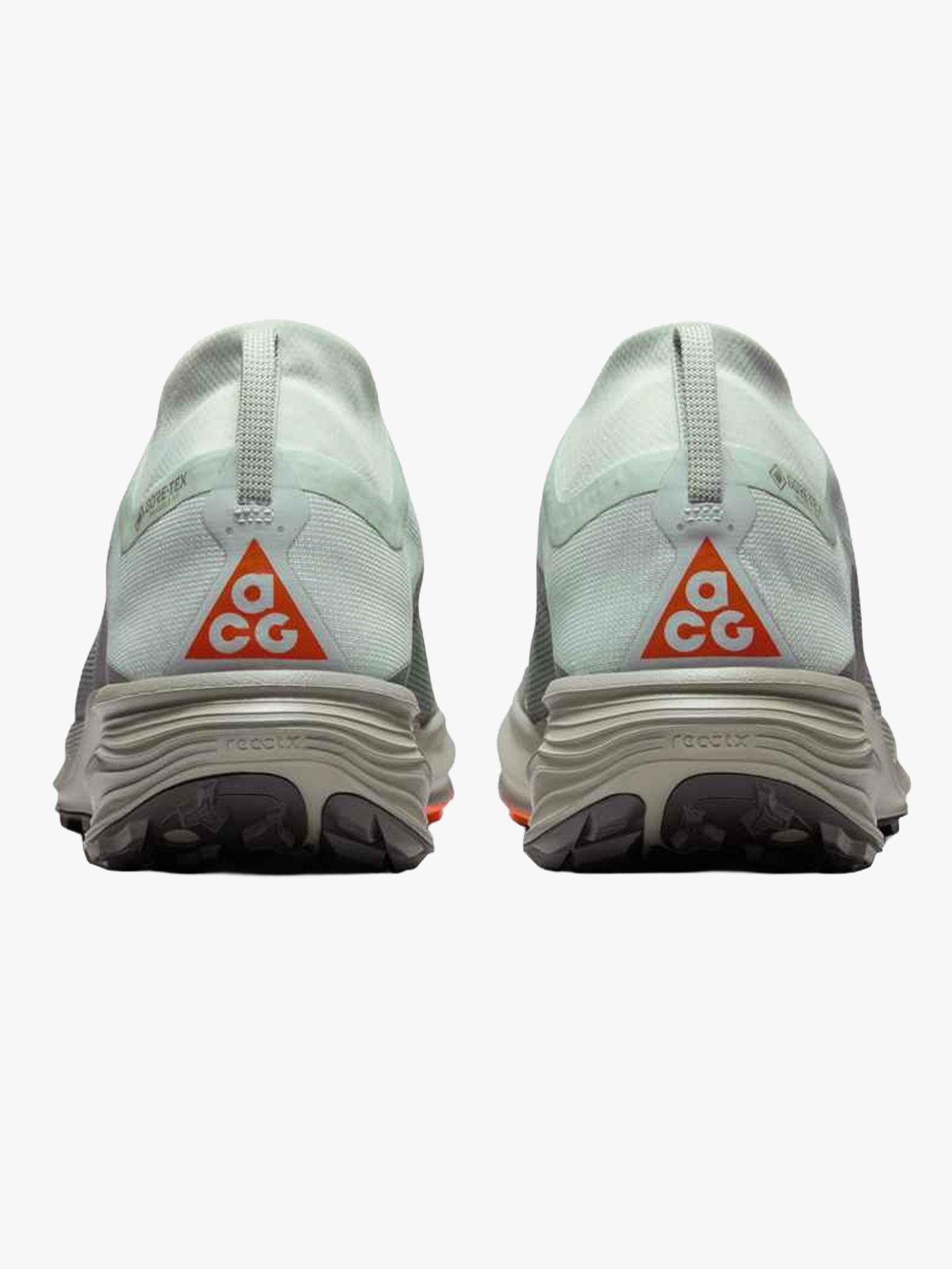 Nike Pegasus Trail GTX Grå
