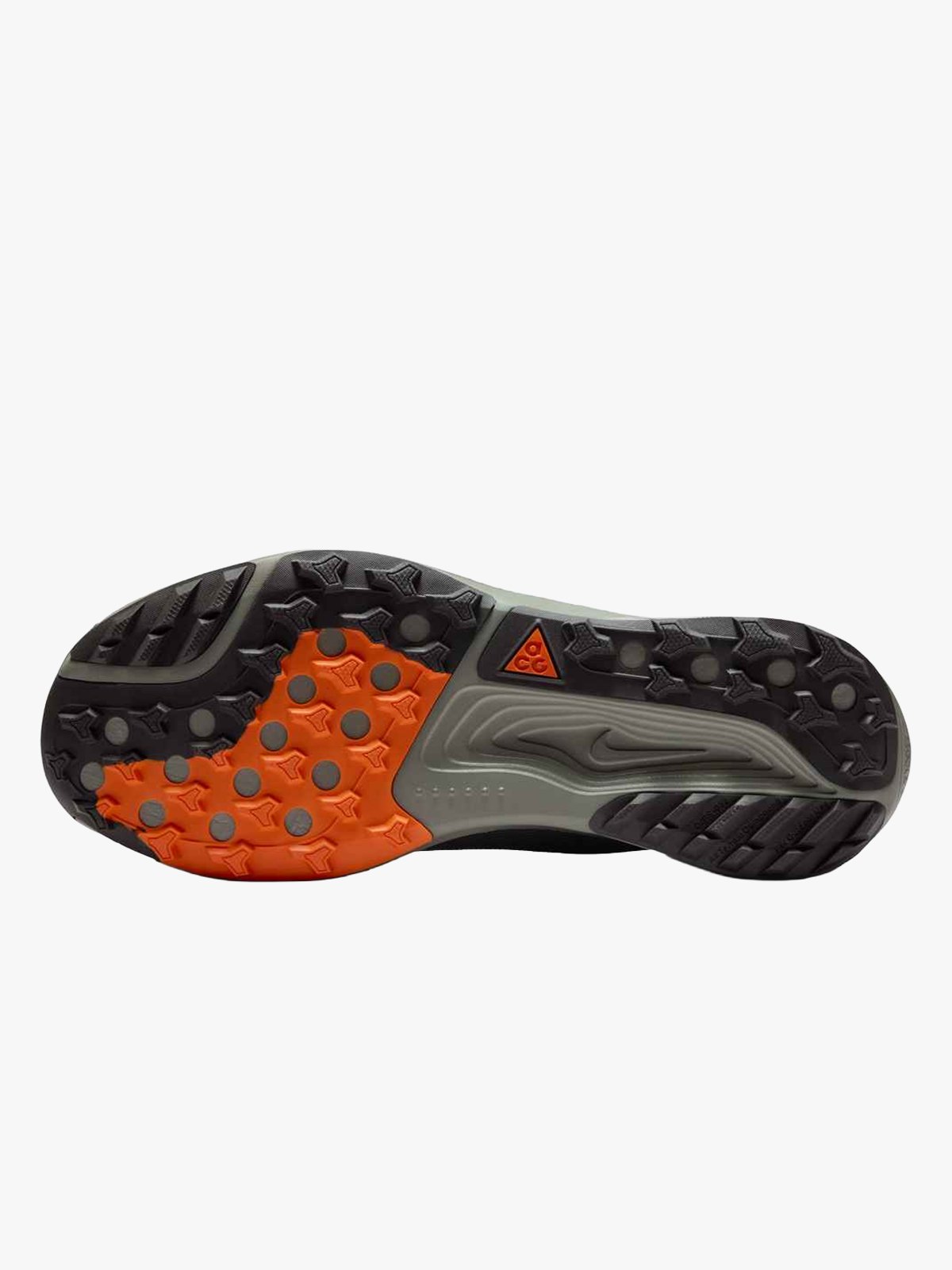 Nike Pegasus Trail GTX Grå