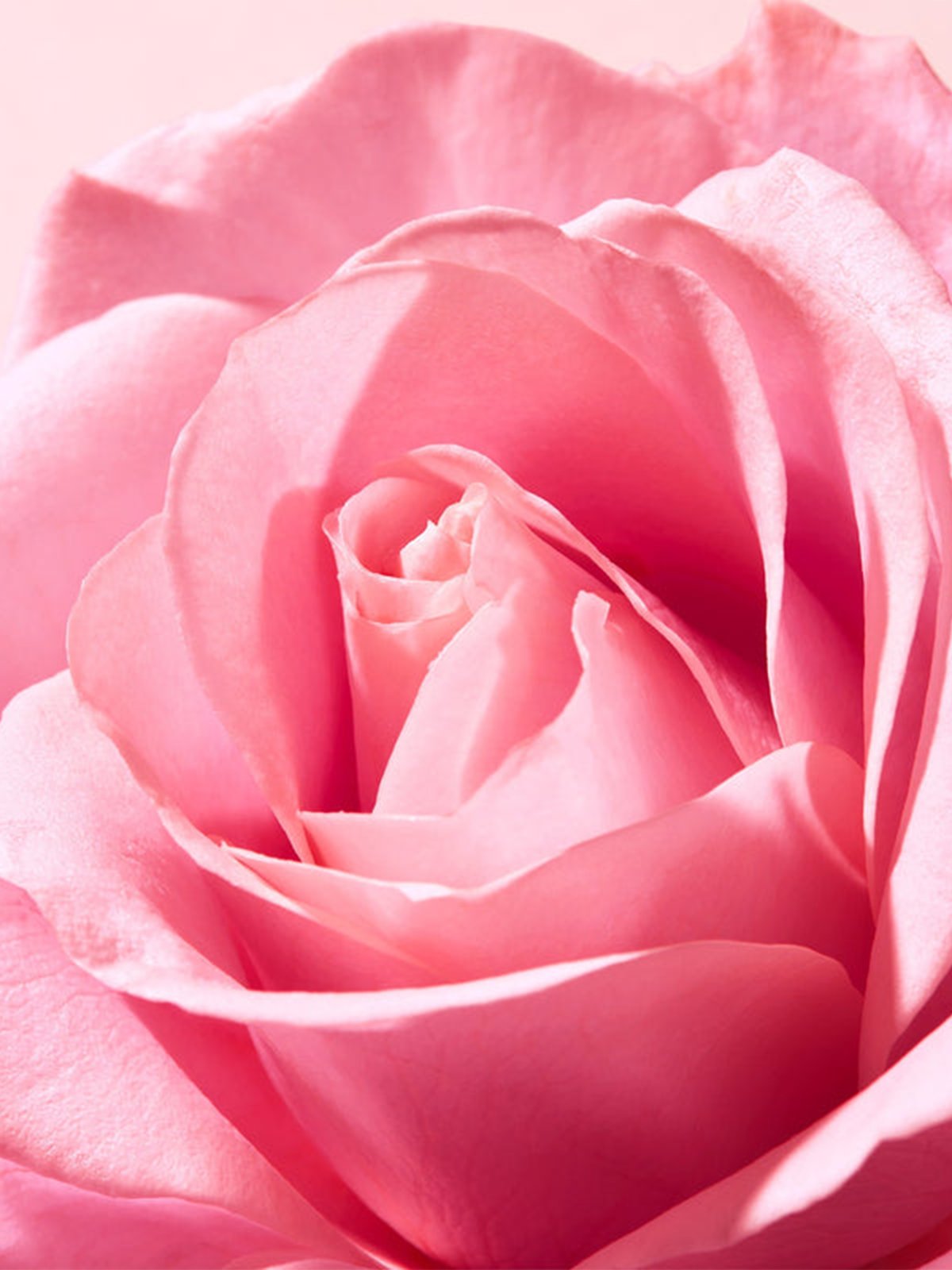 Nuxe Very Rose Lip Balm 15g Flerfarget