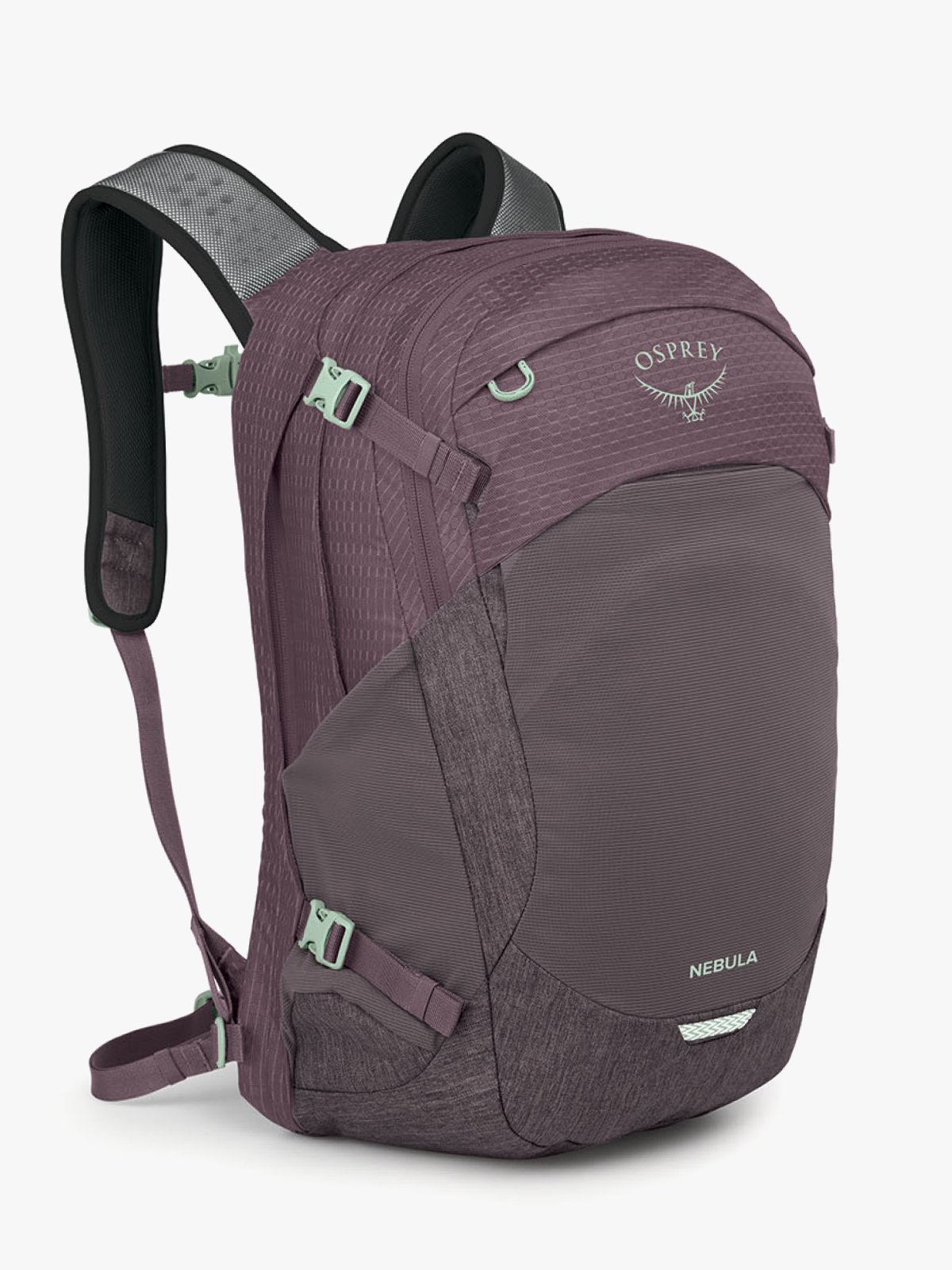 Osprey Nebula Graphite / Purple Heather