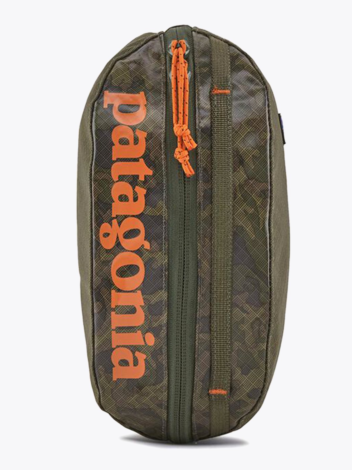 Patagonia Black Hole Cube Small Lichen: Basin Green