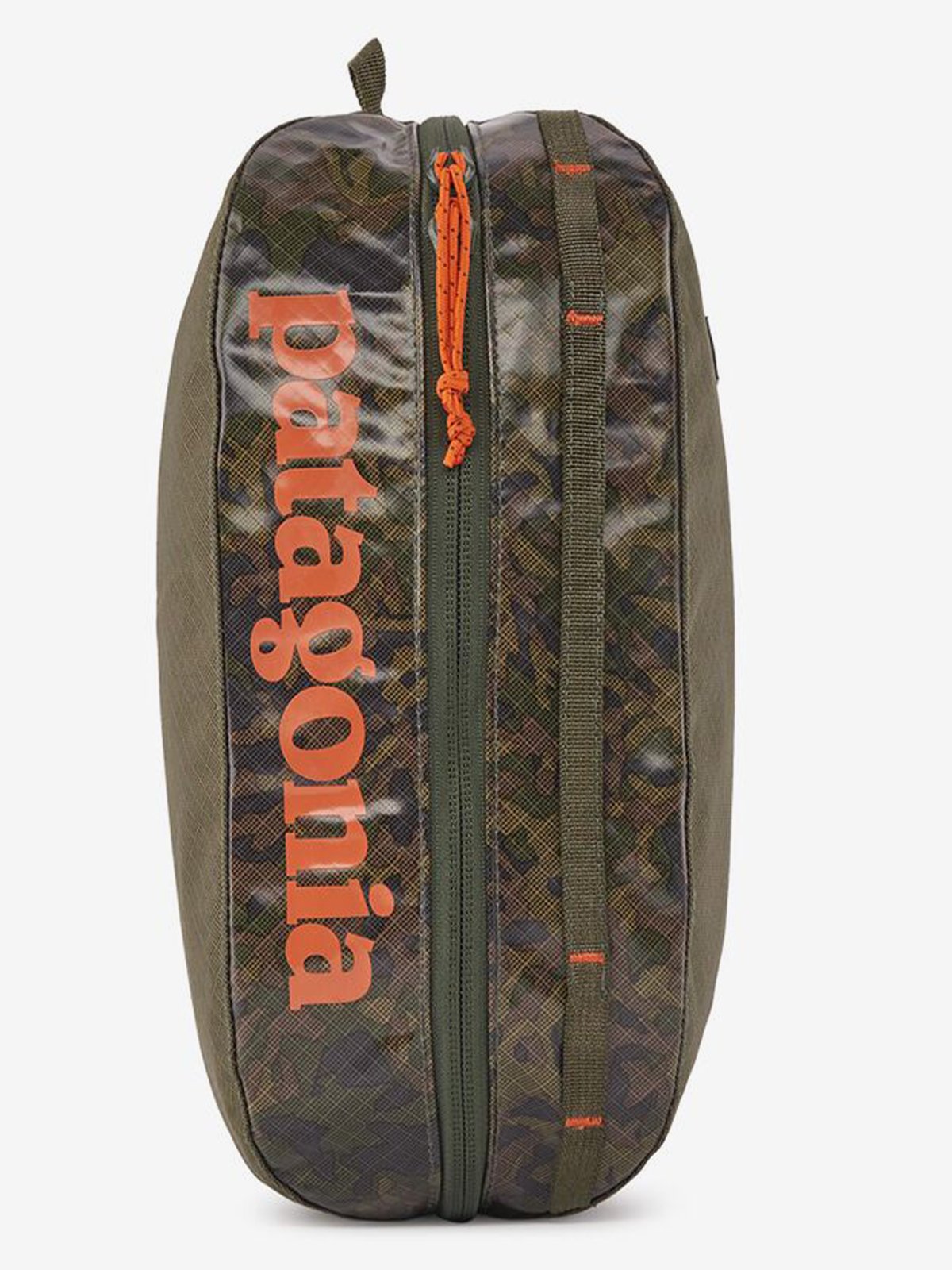 Patagonia Black Hole Cube Medium Lichen: Basin Green