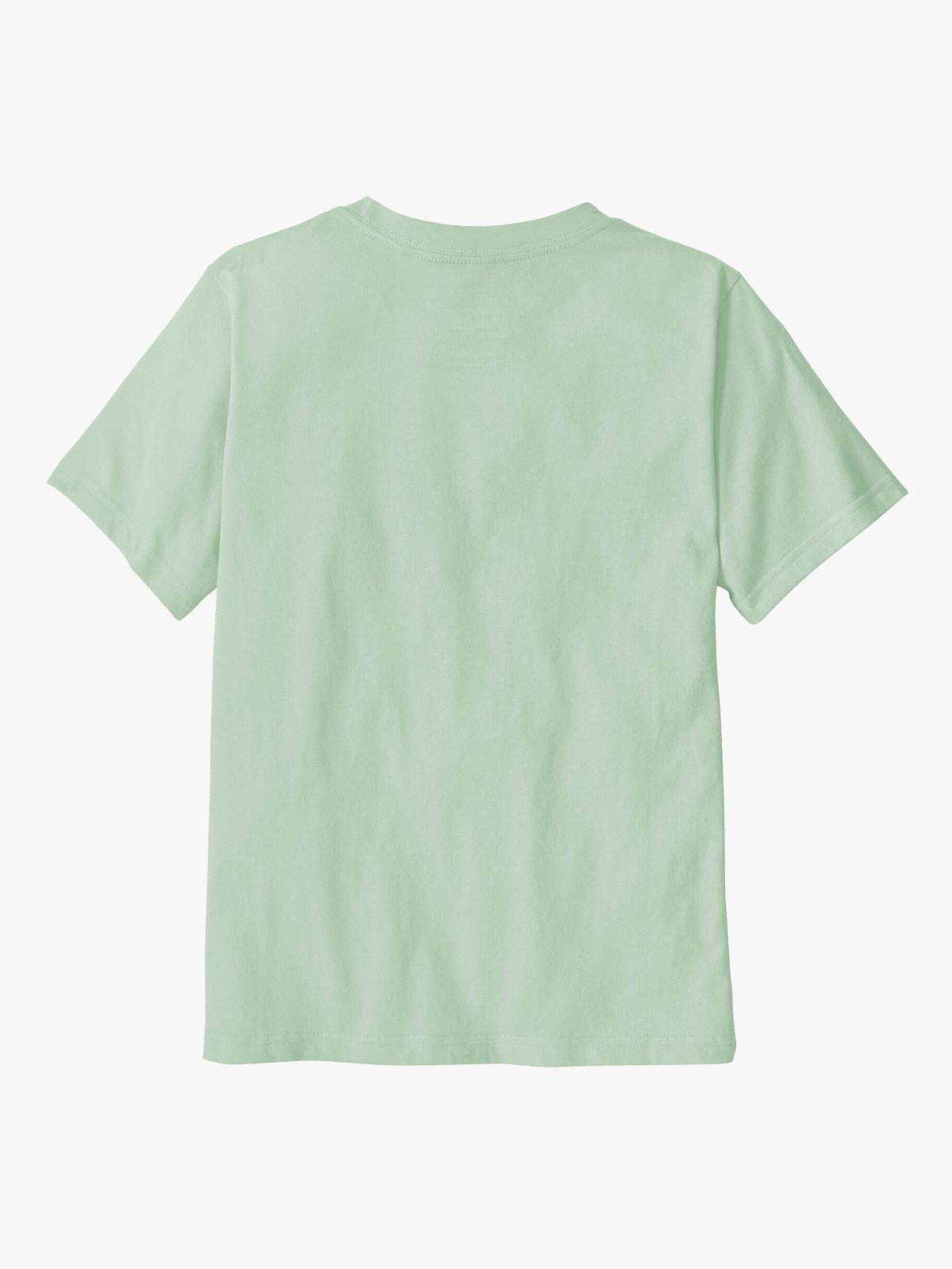 Patagonia P-6 Logo T-Shirt Thin Ice