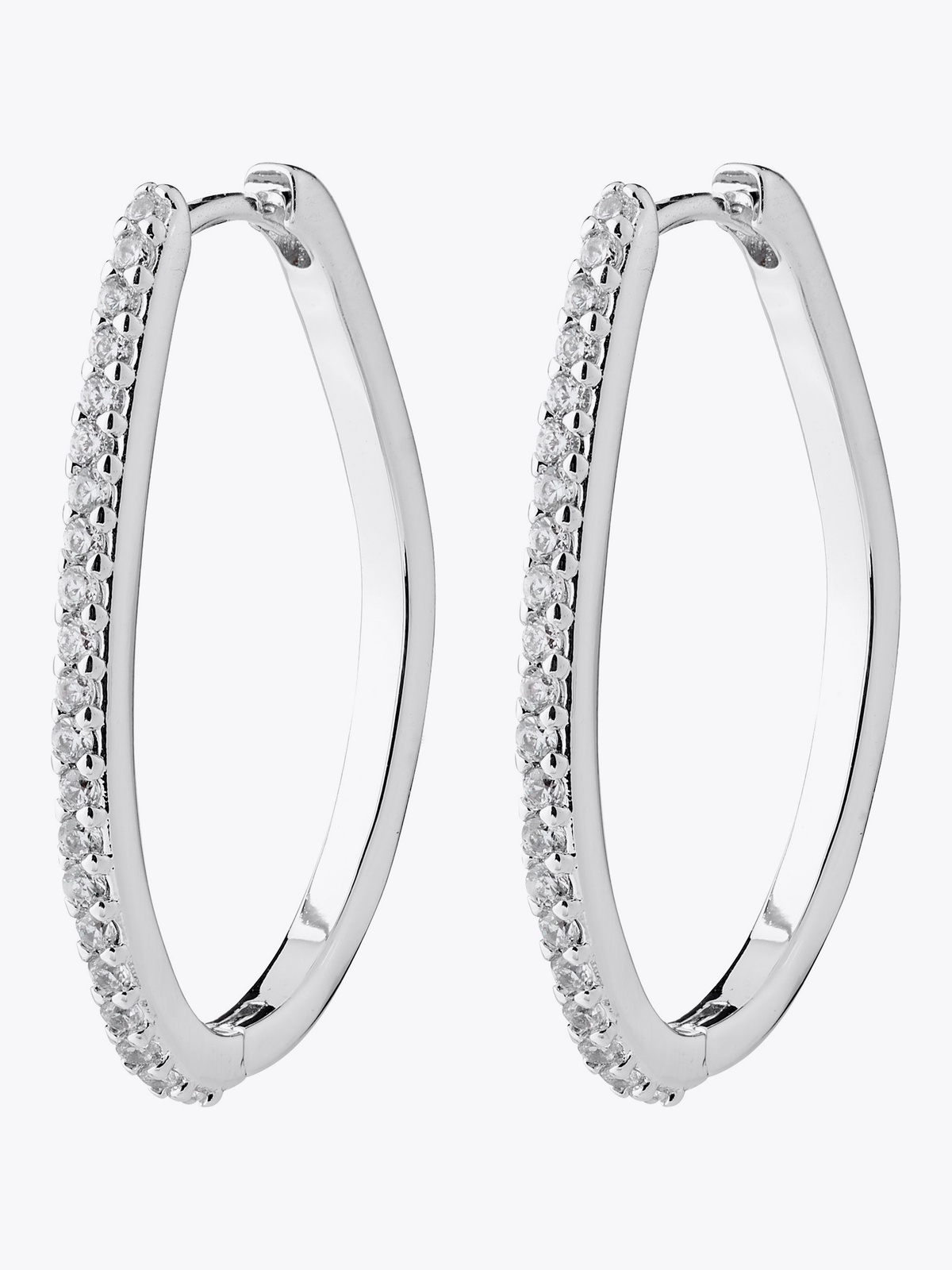 Pilgrim Root Hoop Øredobber Sølv