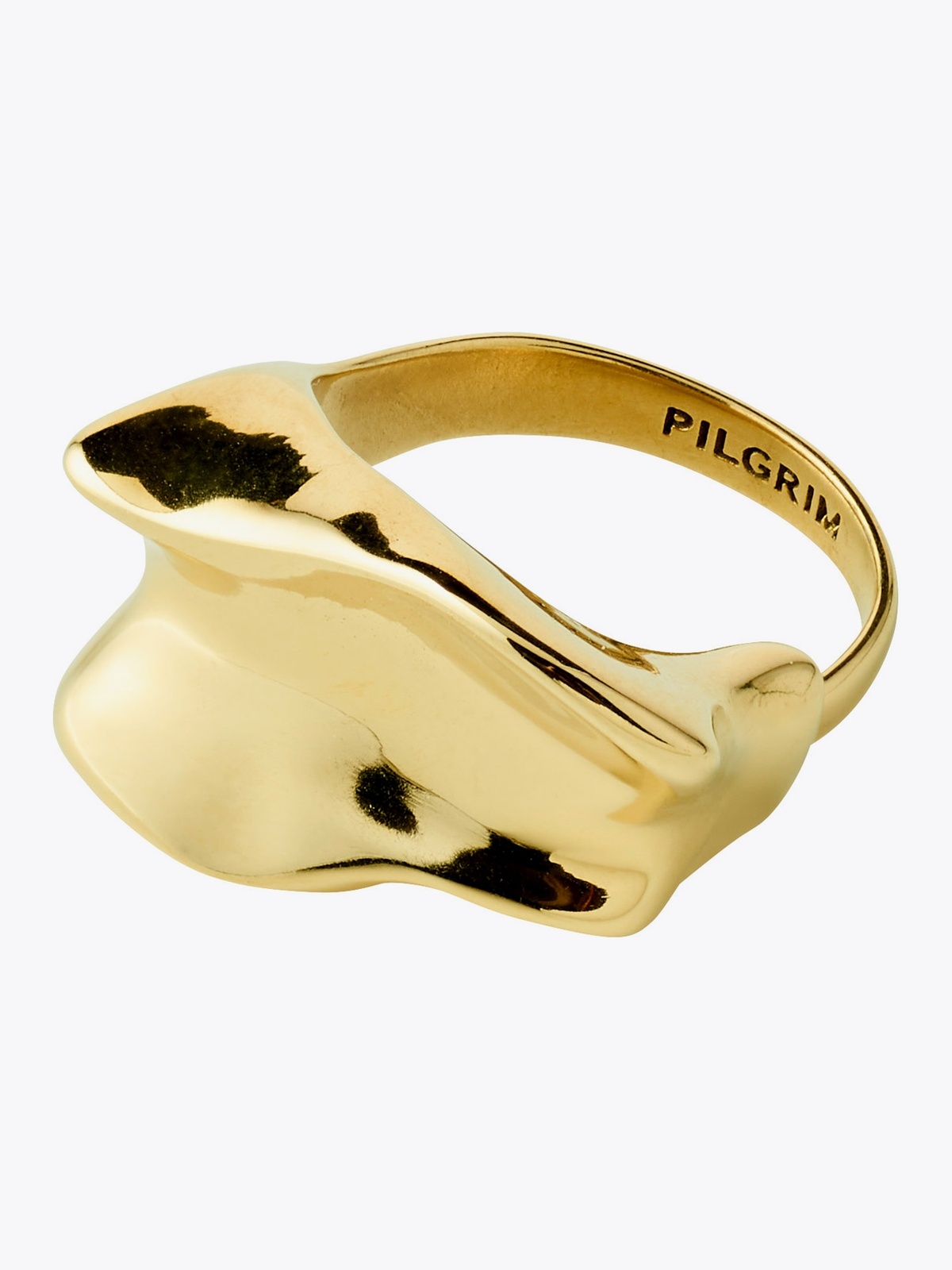 Pilgrim Elys Ring Gull