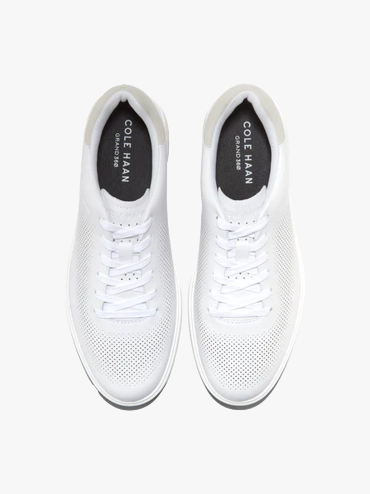 Cole Haan GrandPrø Angleace Sneaker Optic White / Silver Birch