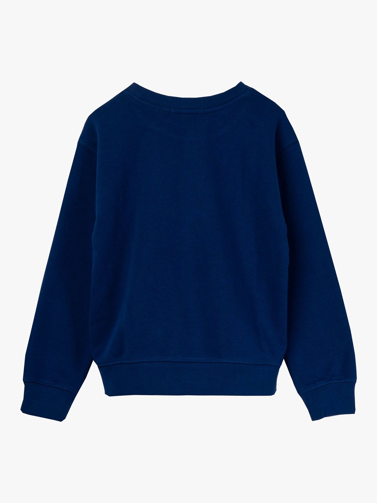 Replay Sweatshirt Junior Dragon Blue