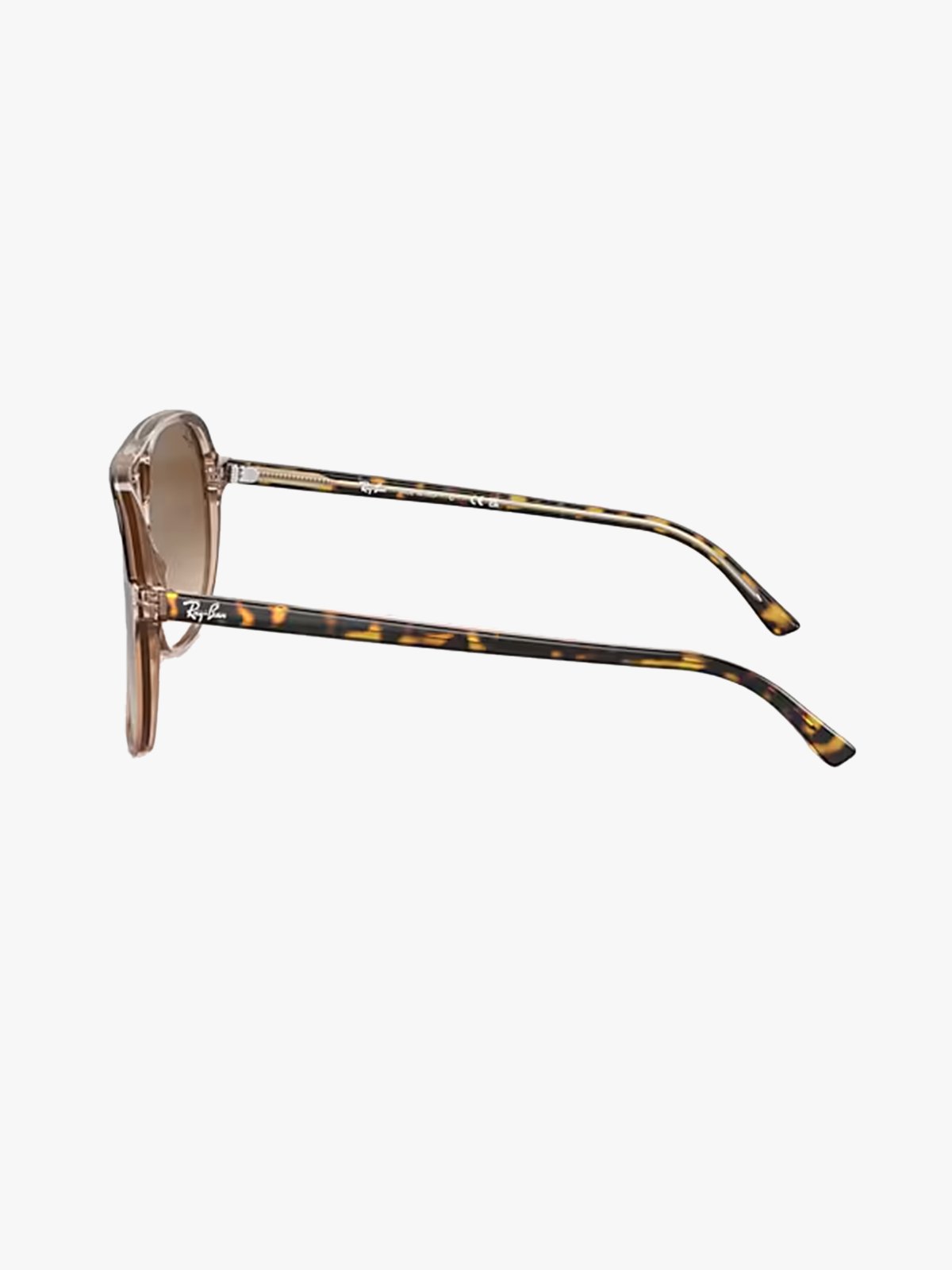 Ray-Ban Bill Ramme: Polished Havana On Transparent Brown / Linser: Light Brown Gradient